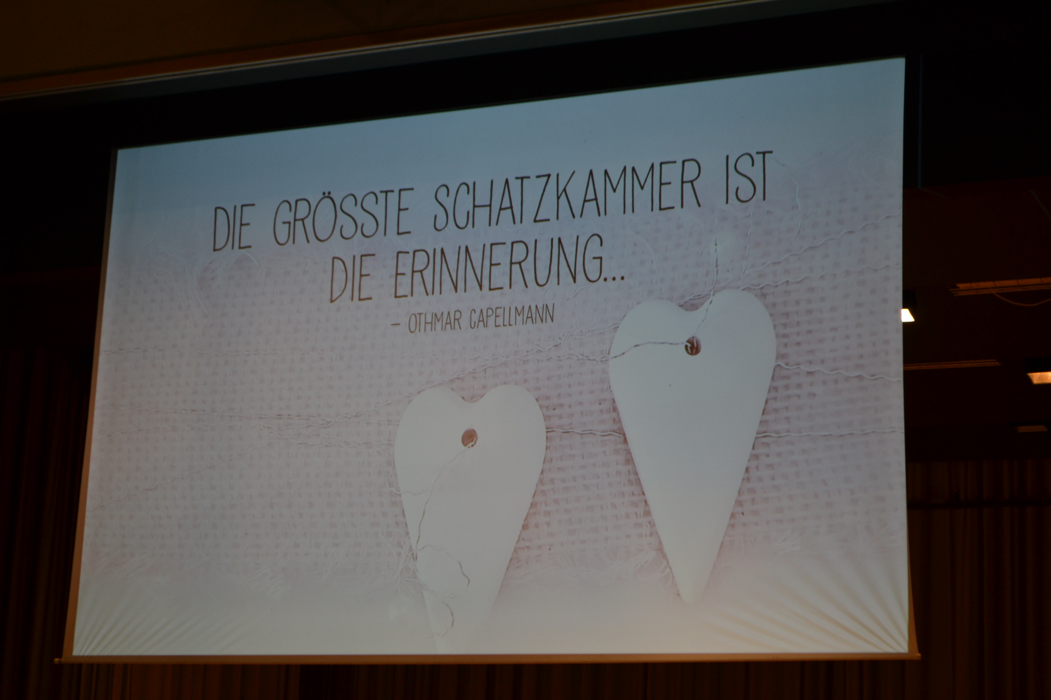 Bild (39)